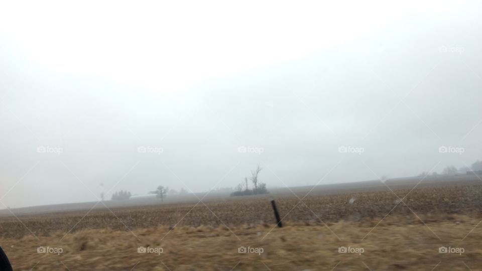 Landscape, Fog, Desert, Tree, No Person
