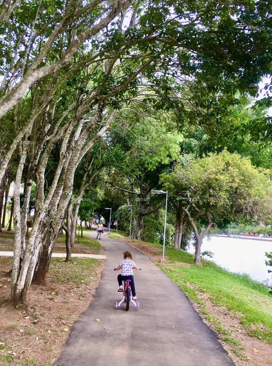 Trees that enchant and protect us on the paths we walk. Live nature and its beauty! / Árvores que nos encantam e nos protegem nos caminhos que andamos. Viva a natureza e sua beleza!