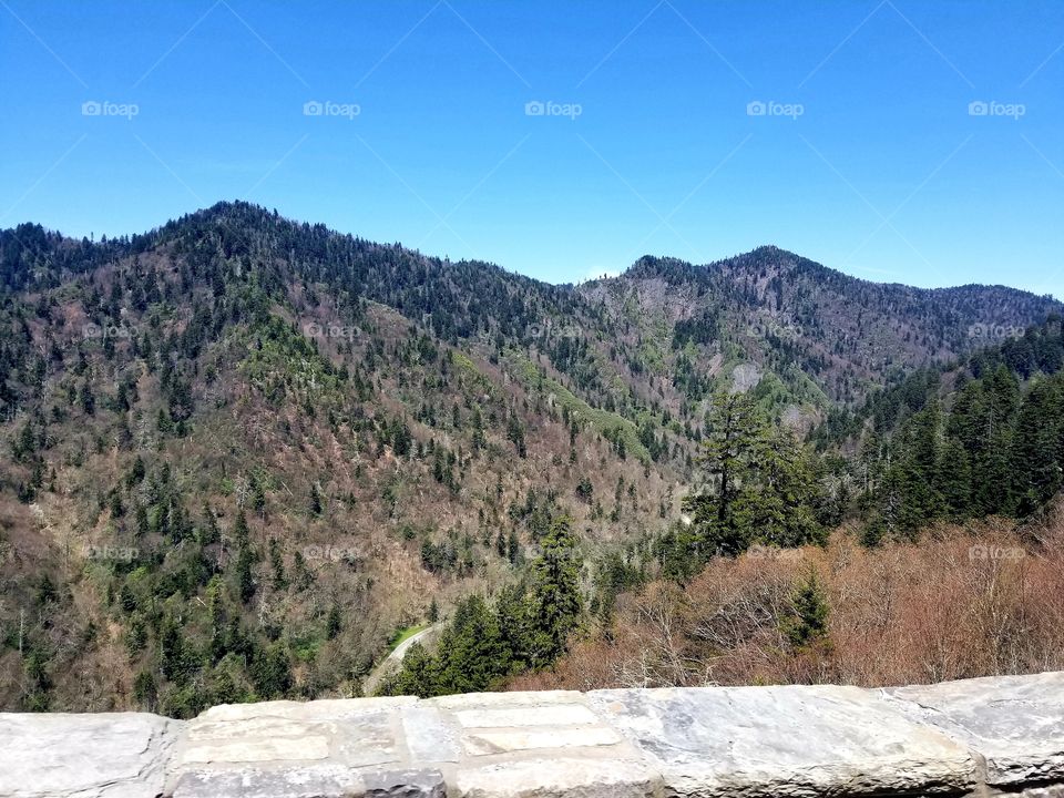 Breathtaking panoramic scenic mountainside views of vibrant blue skies of the Great Smoky Mountain national park / forest over Tennessee.