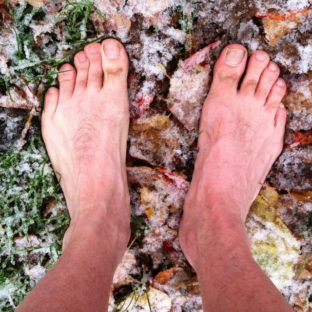 First Snowfall