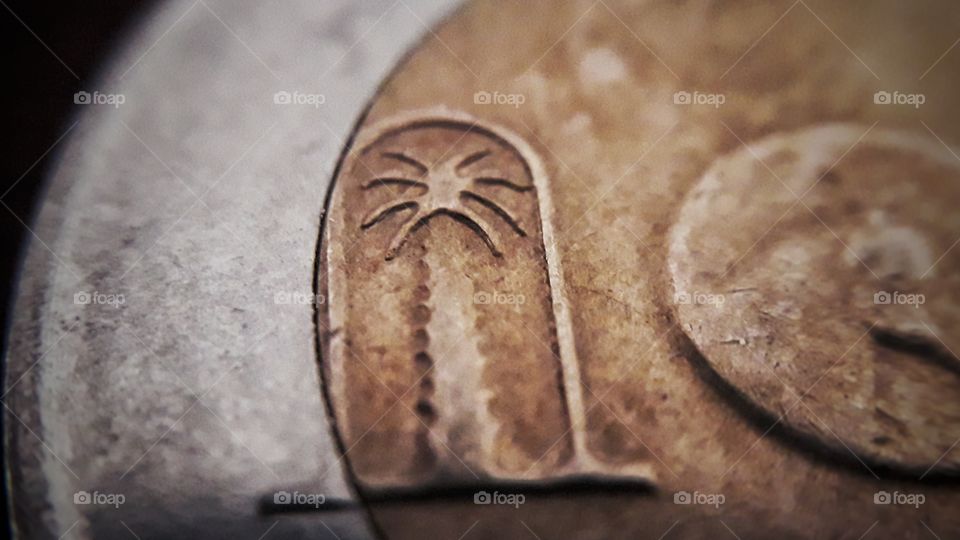 Algerian coin