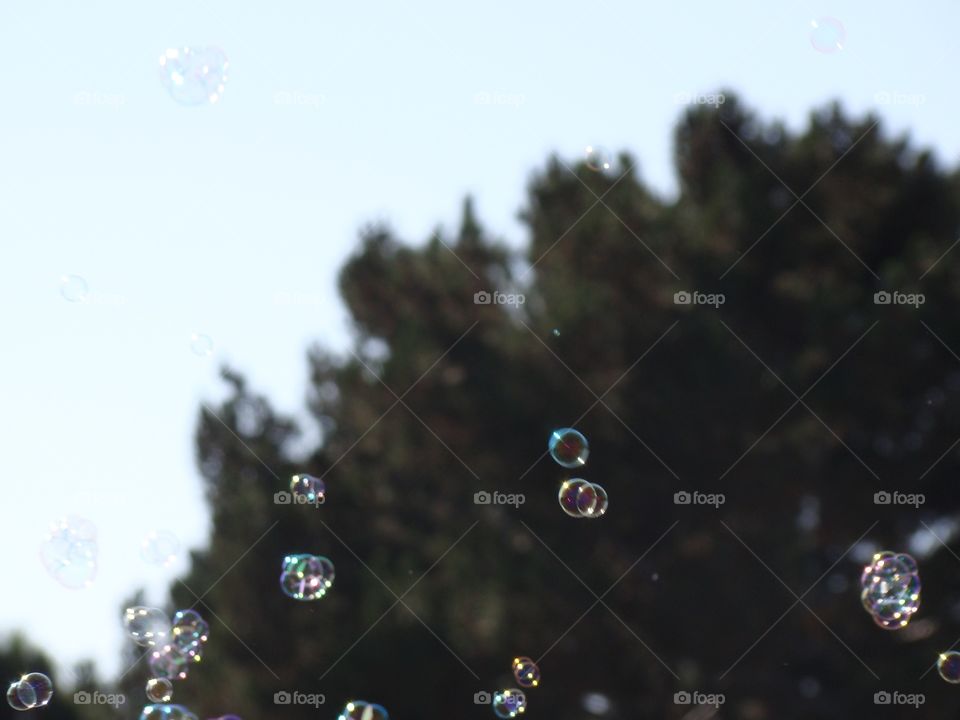 Bubbles 