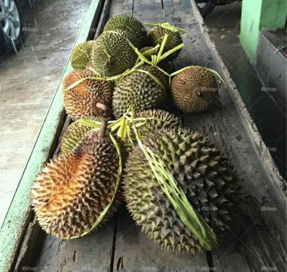 fruit durian who wants to