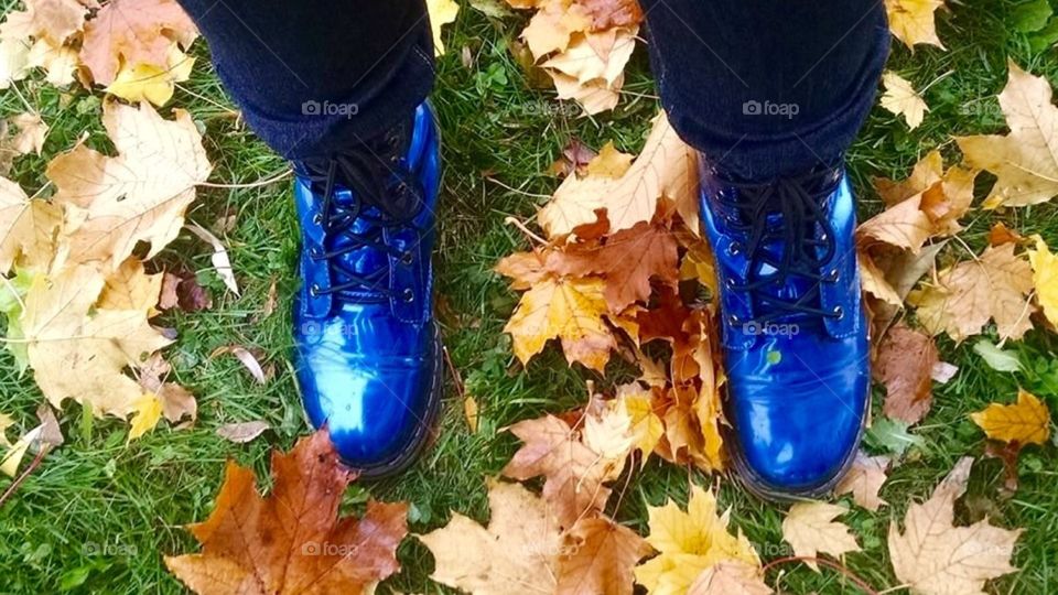 Blue shoes in autumn leaves 