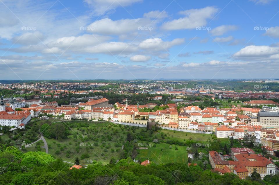 Prague view
