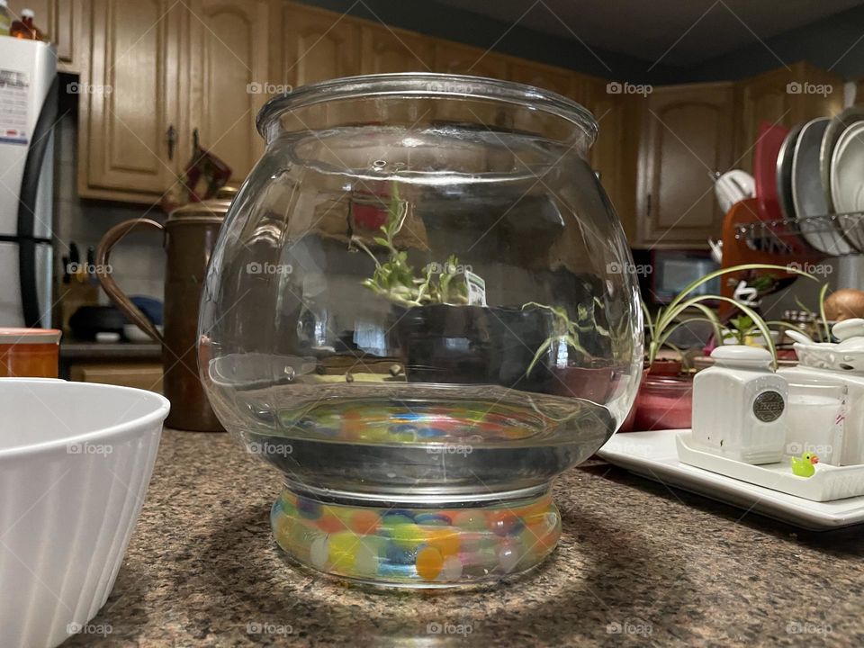 Water in jar