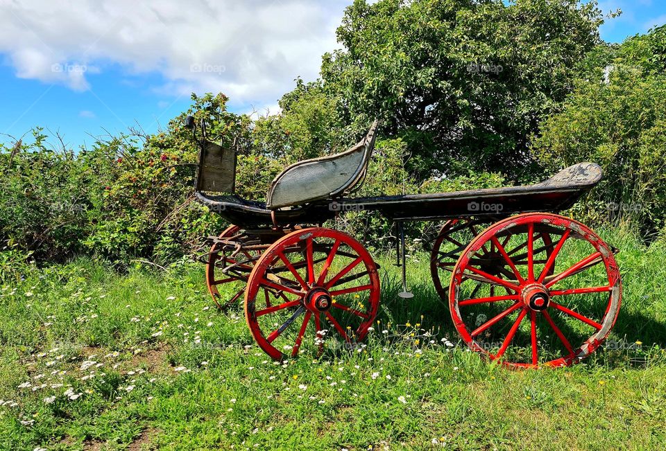 Complementary colors