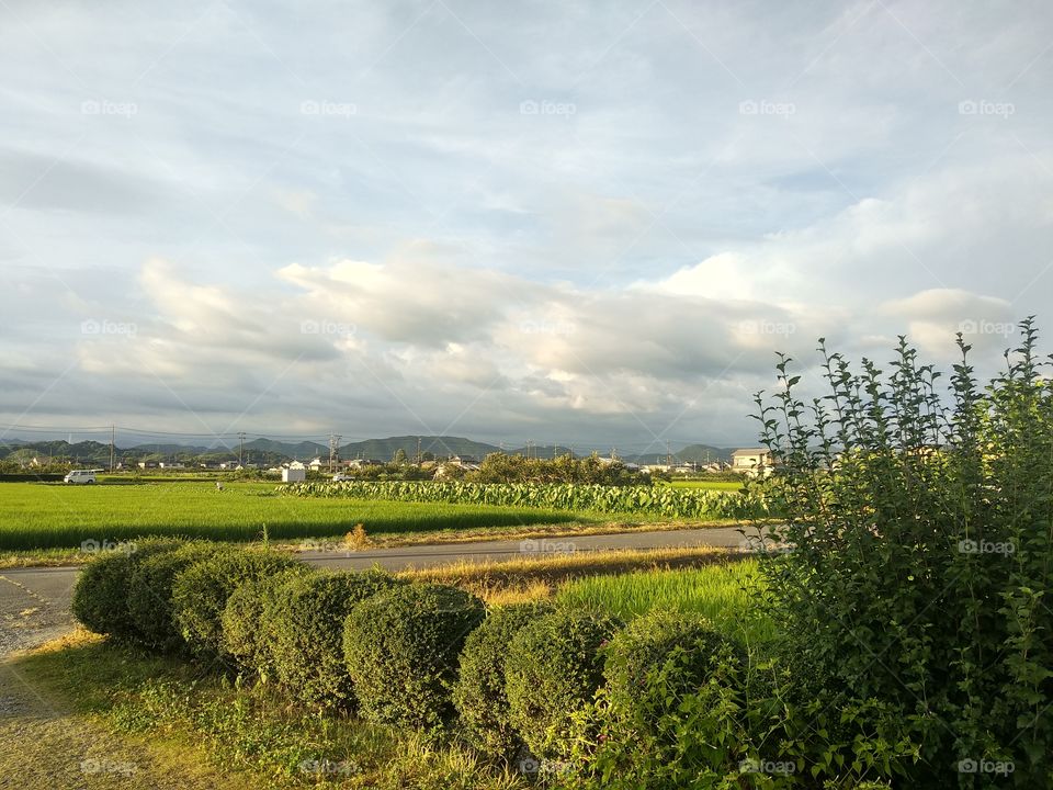 A Countryside View In Cloudy Day