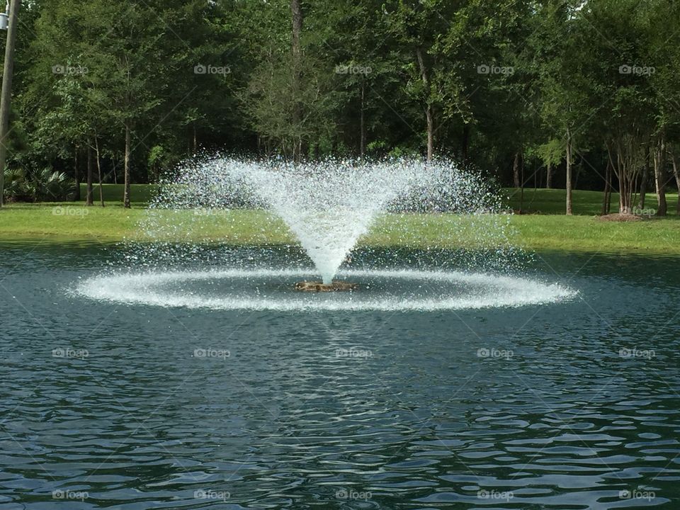 Fountain in a Pond