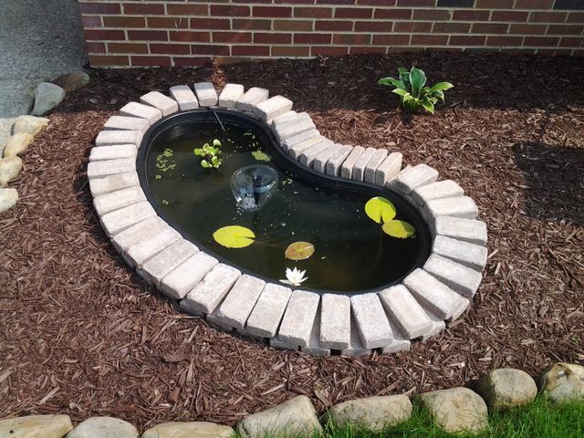 Do it yourself pond