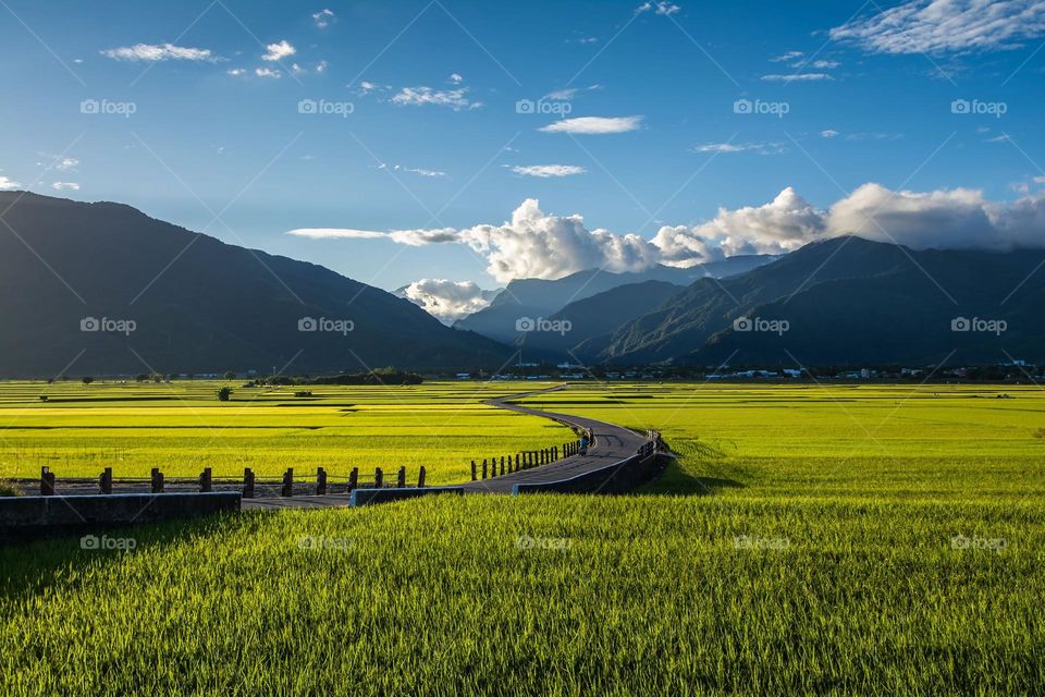 Beautiful mountain and rice farm scenery