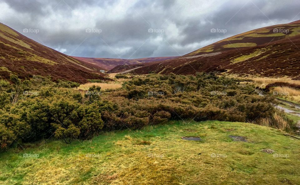 The scottish highlands in spring