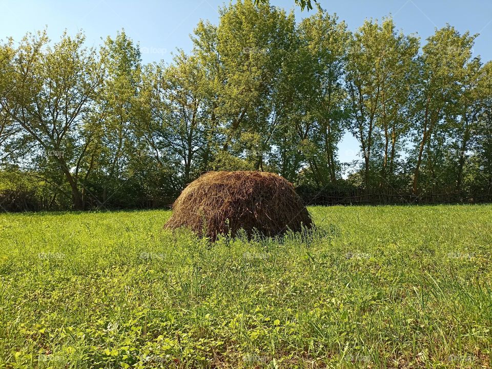 Haystack