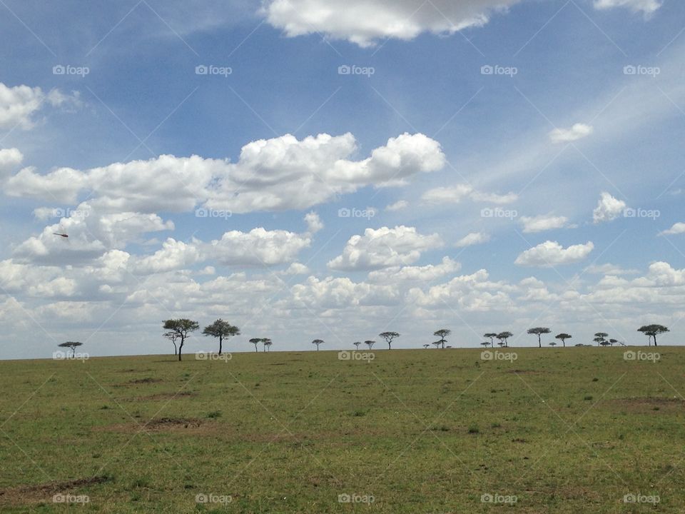 Endless Serengeti 