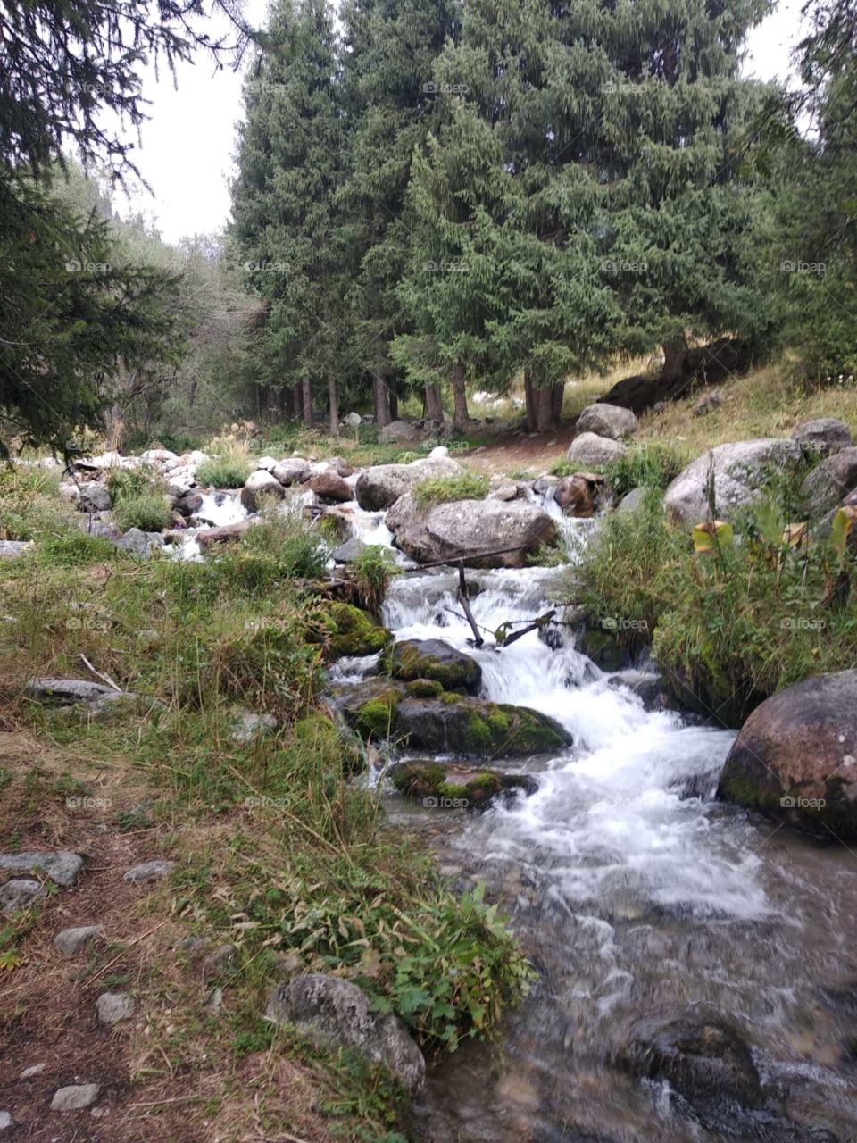 Горная река