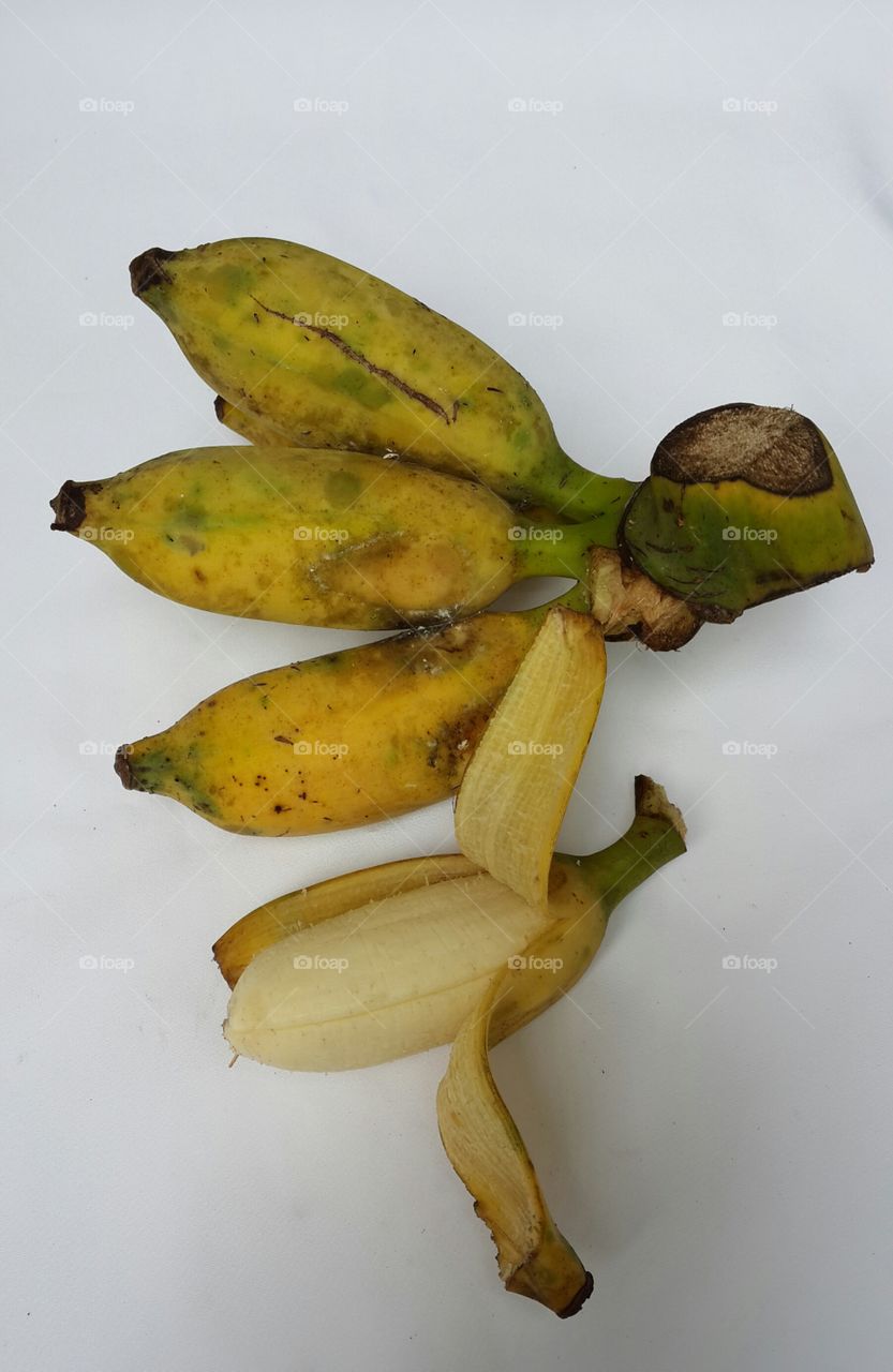 Thai cultivated banana