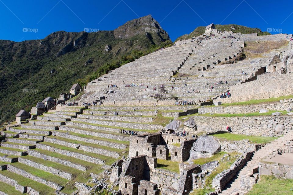 Machu Picchu