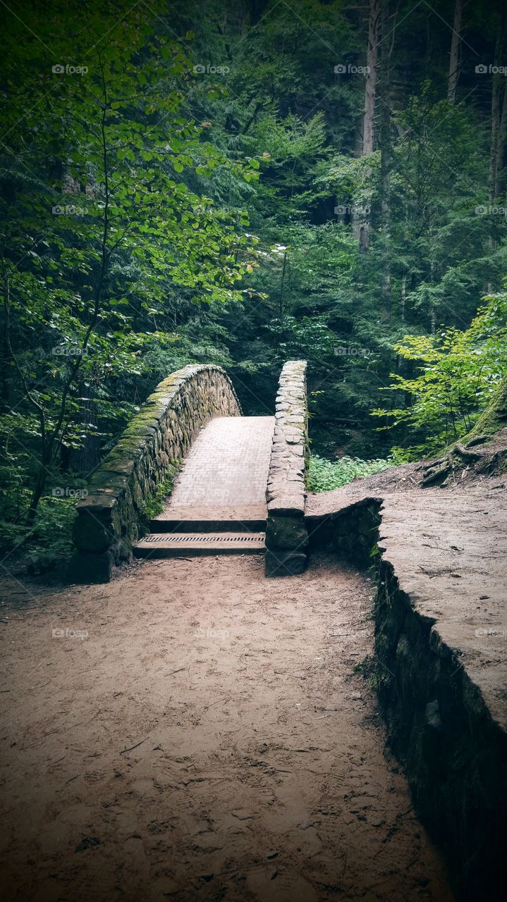 Stone bridge in park