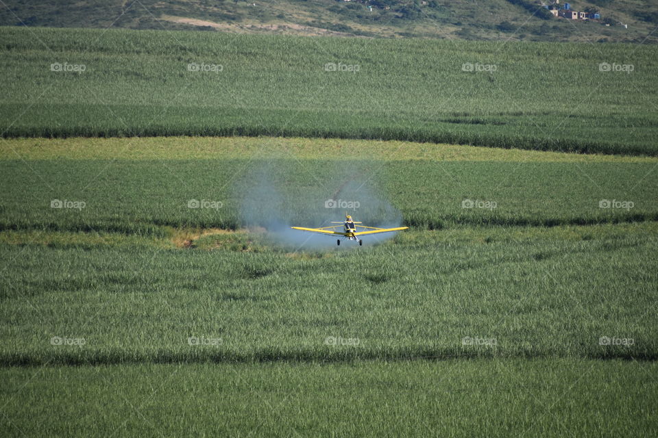 An Anti-Pests Blast. An Aircraft Starts A Pest Clean Up In The Field.