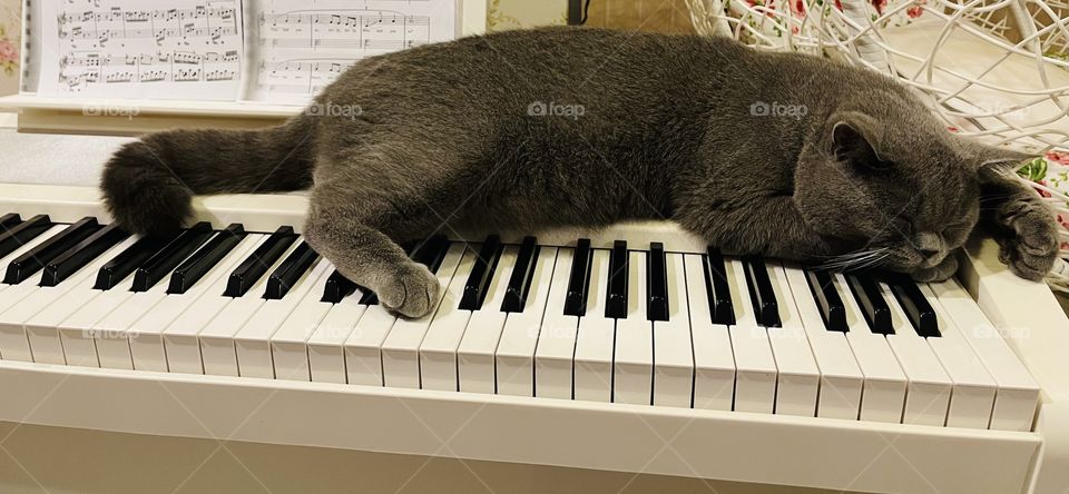 Sleep on piano