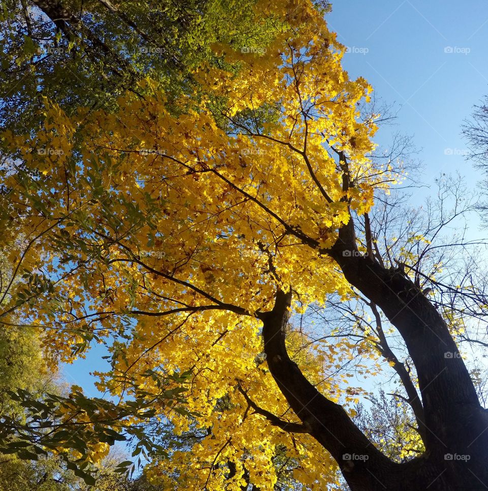 Fall :). Great day. Enjoying fall