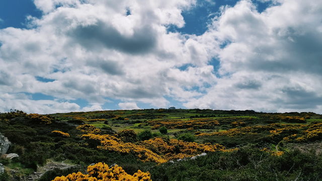 beautiful view in Howth, Dublin