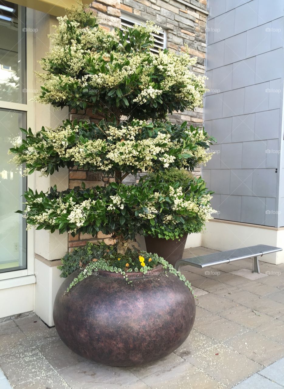 Outdoor planter