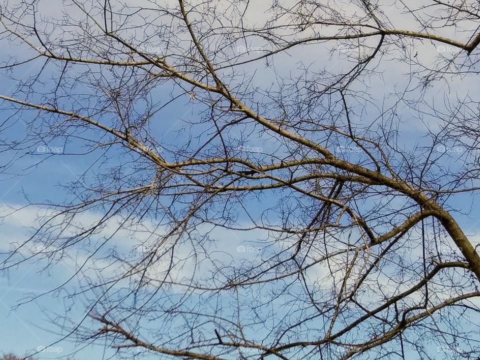 partly cloudy sky in late winter