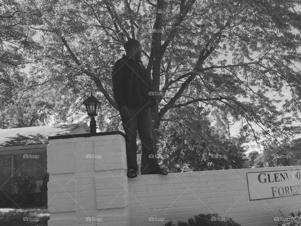 People, Adult, One, Man, Tree