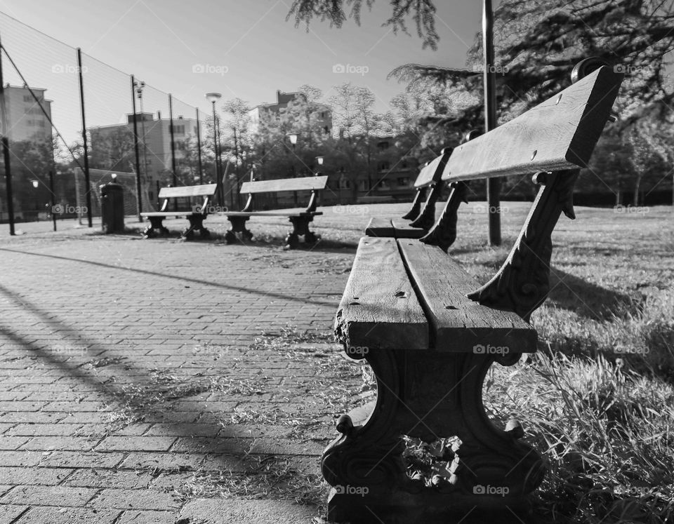 Beautiful view of wooden benches in a public park on a clear sunny day in Brussels, Belgium, close-up view from below.Black and white photo.