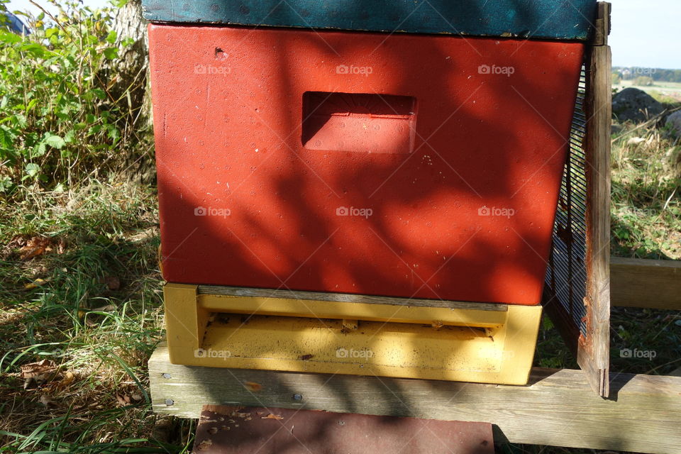 These lovely beehives can be found in a small place called Vargön ( Wolfisland). The need were very active but I managed to get some photos without getting stung.