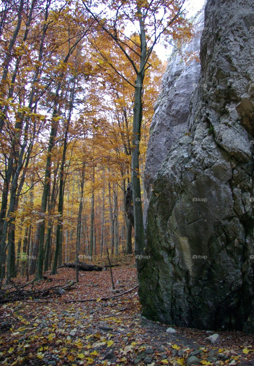 Autumn impressions