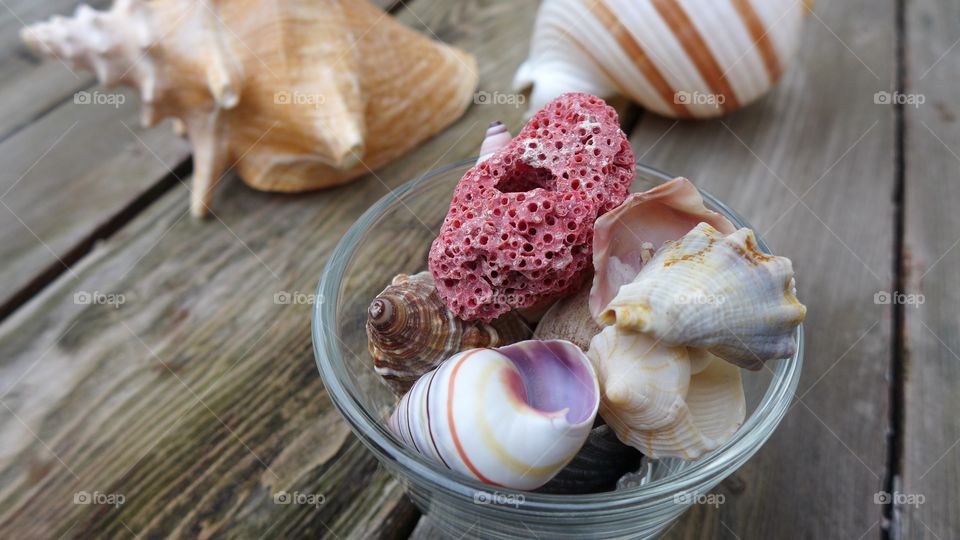closeup seashells in cup on wooden table with conch