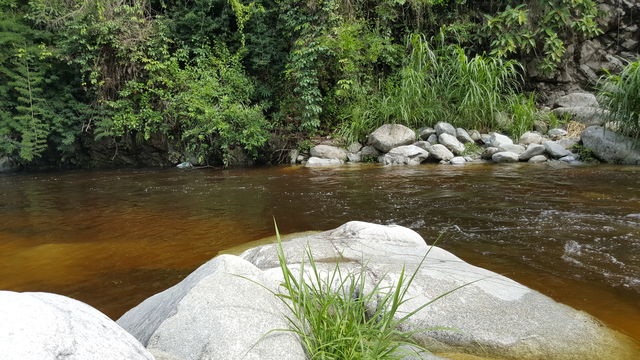 El Sapotal