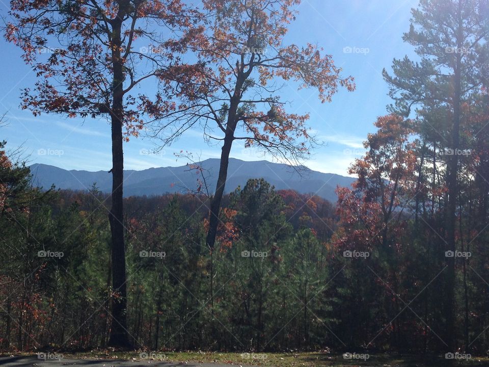Gatlinburg Tennessee Smokey Mountains