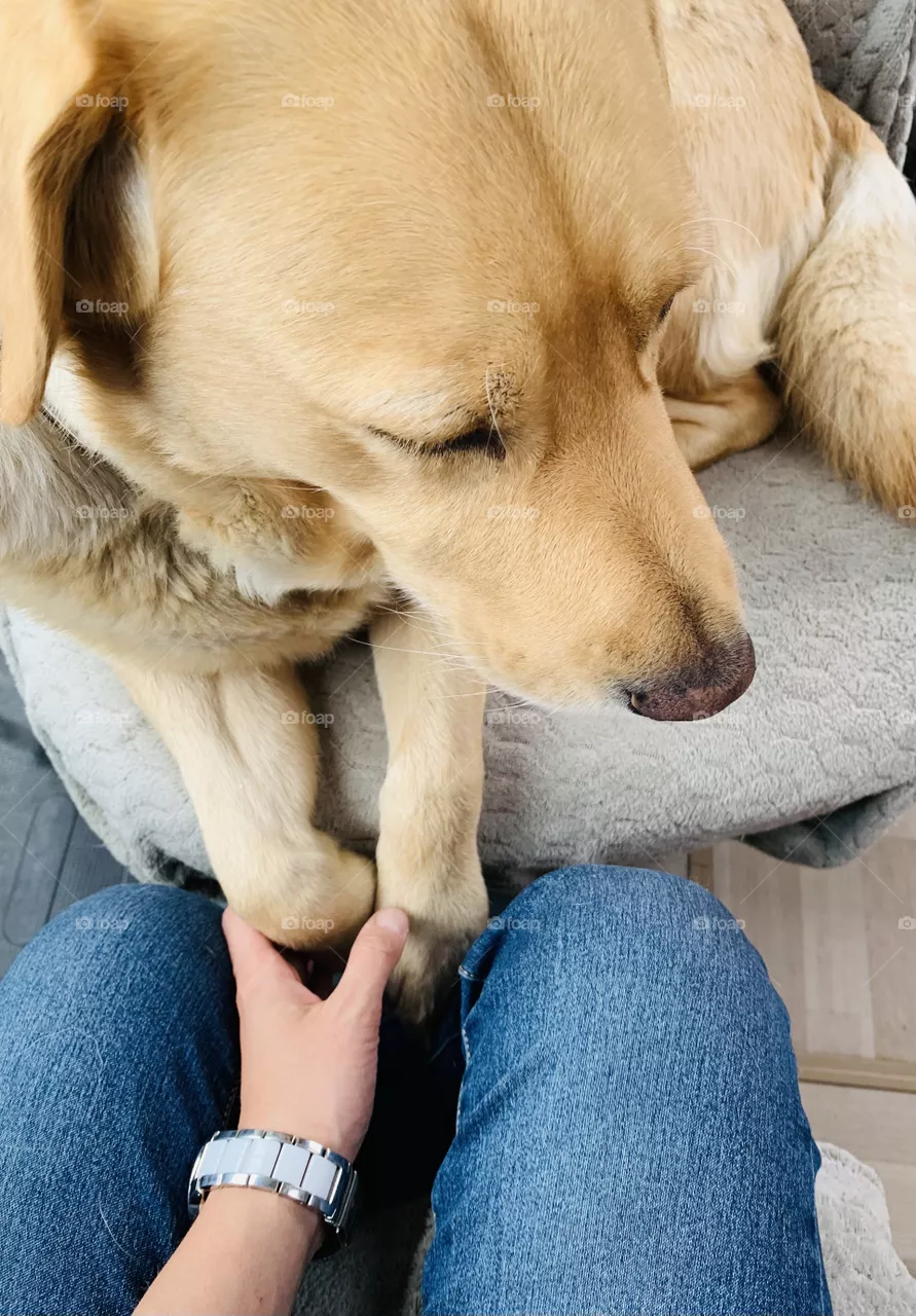 Friend 
