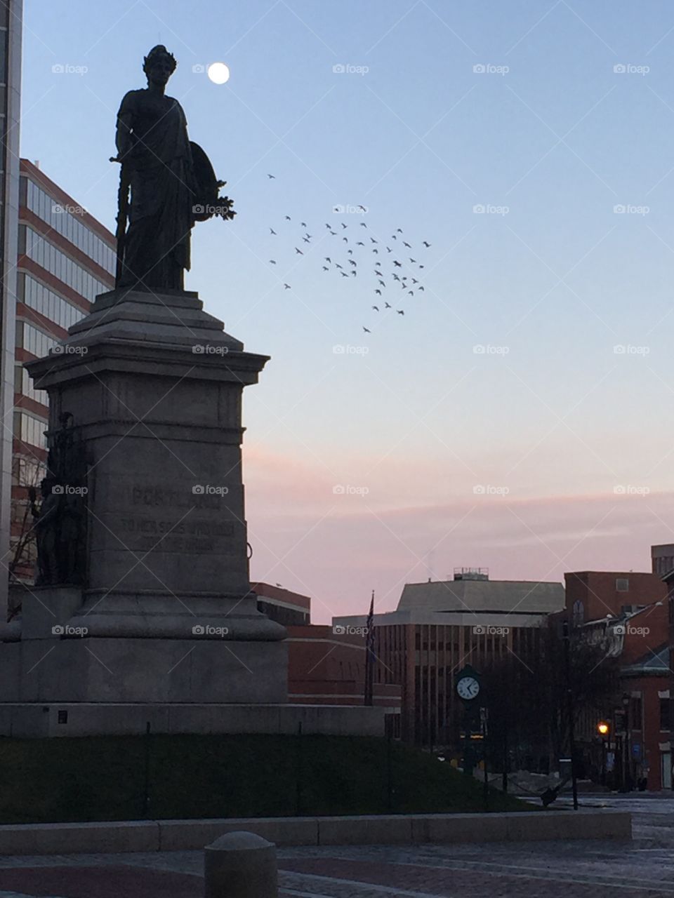 Statue and birds 