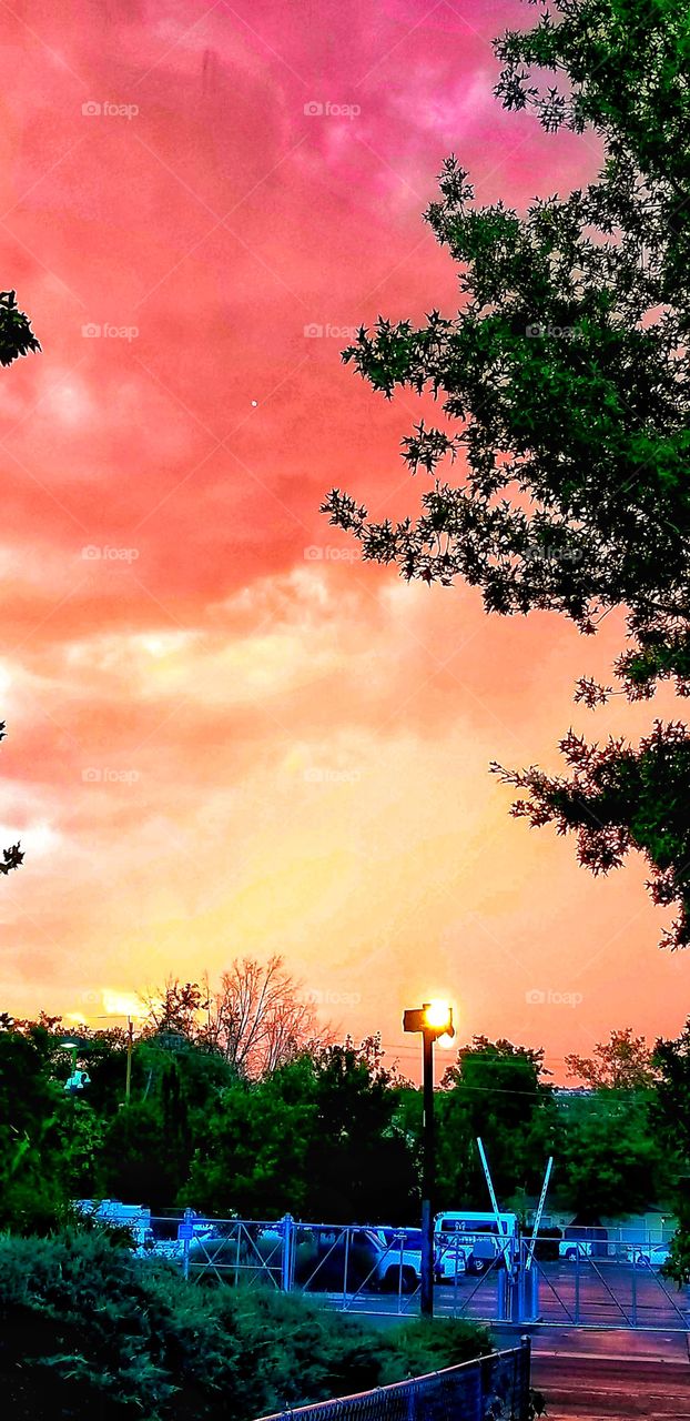 ILLUMINATION of Lights