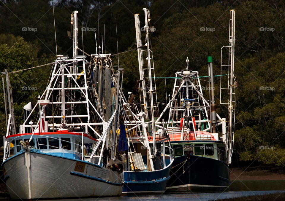 Prawn Trawler boats in Sandgate 
Queensland