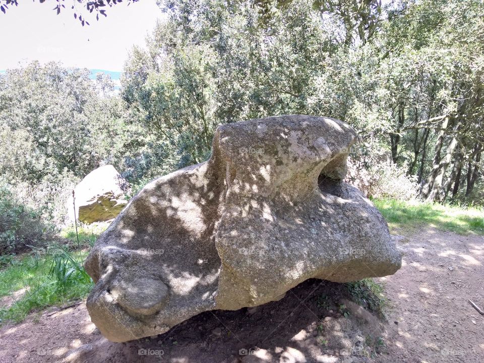 Editors' Choice: Photo of the Week