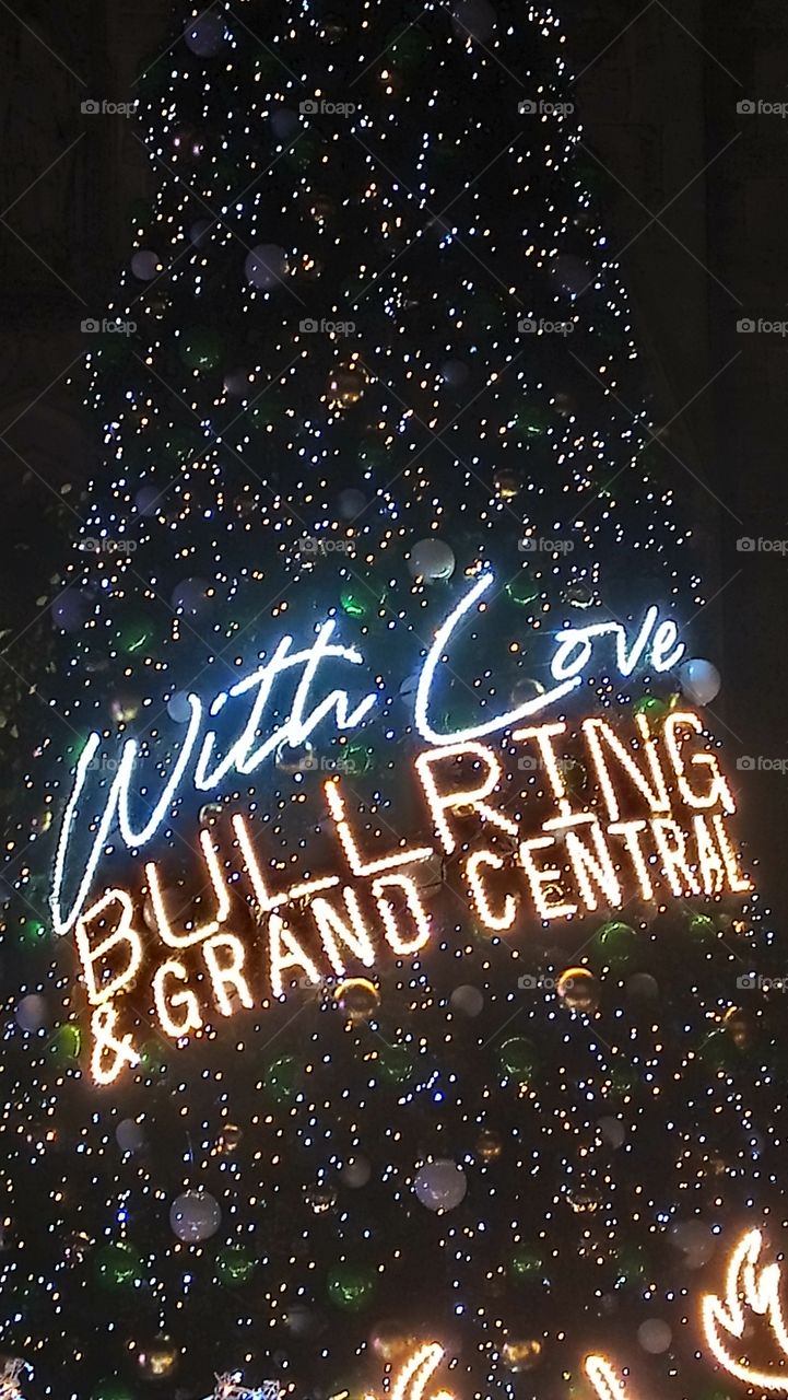 Christmas message in lights