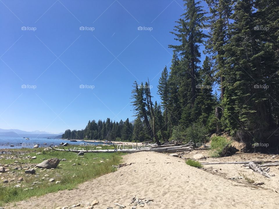Lake Tahoe shore