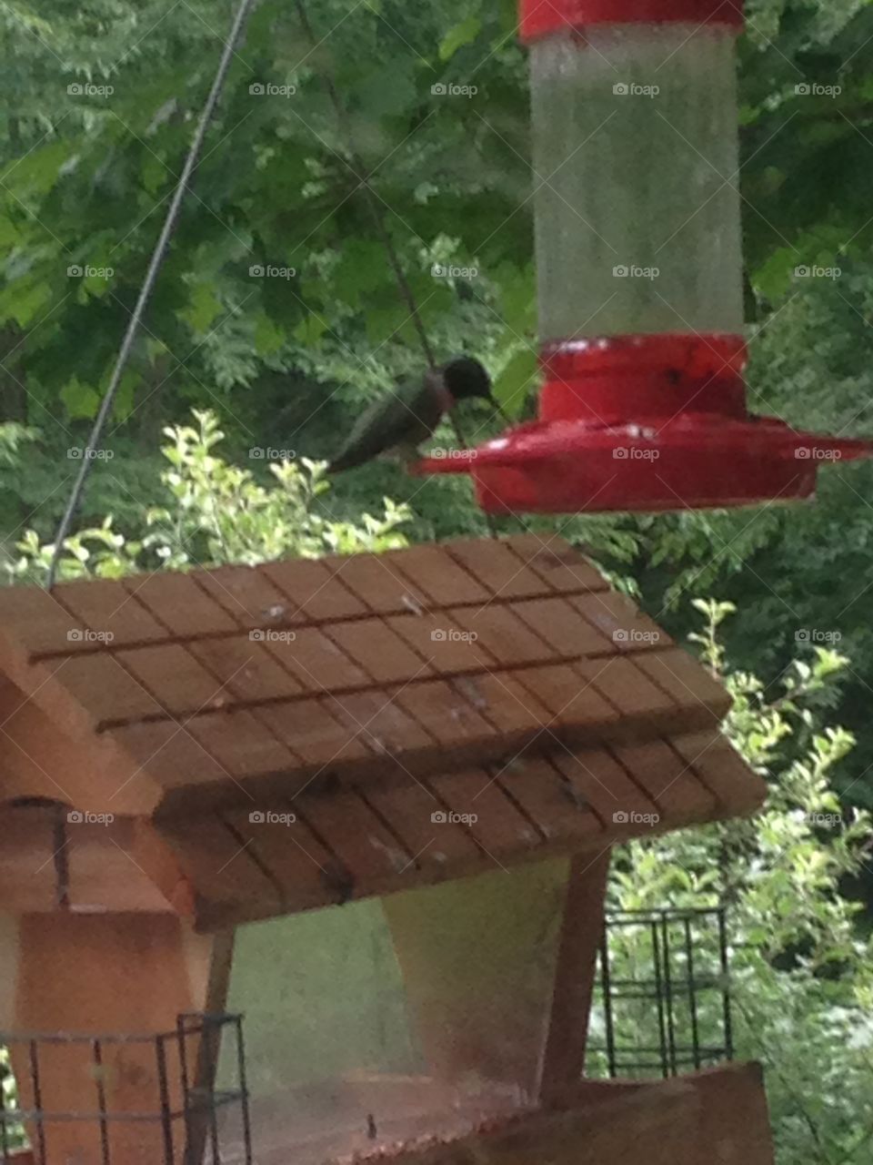 Humming . Doing dishes at daughters