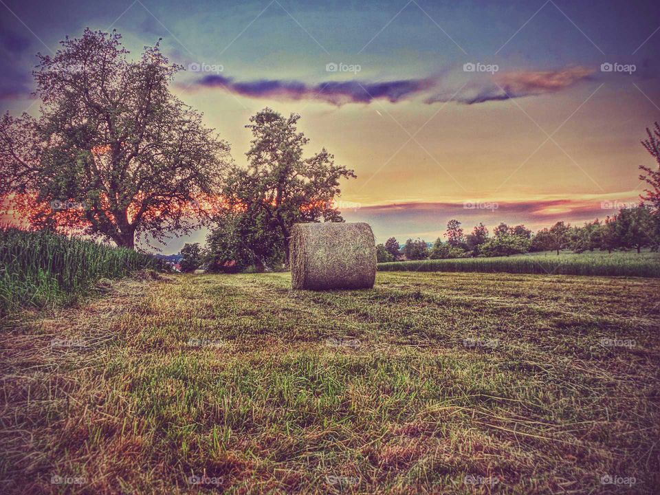 after the mowing. a big hay bale  left on the field