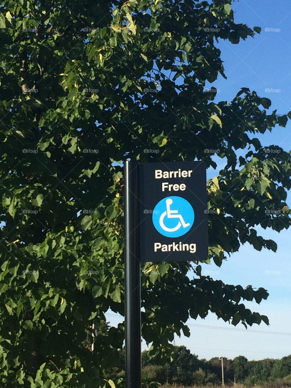 Berries free parking