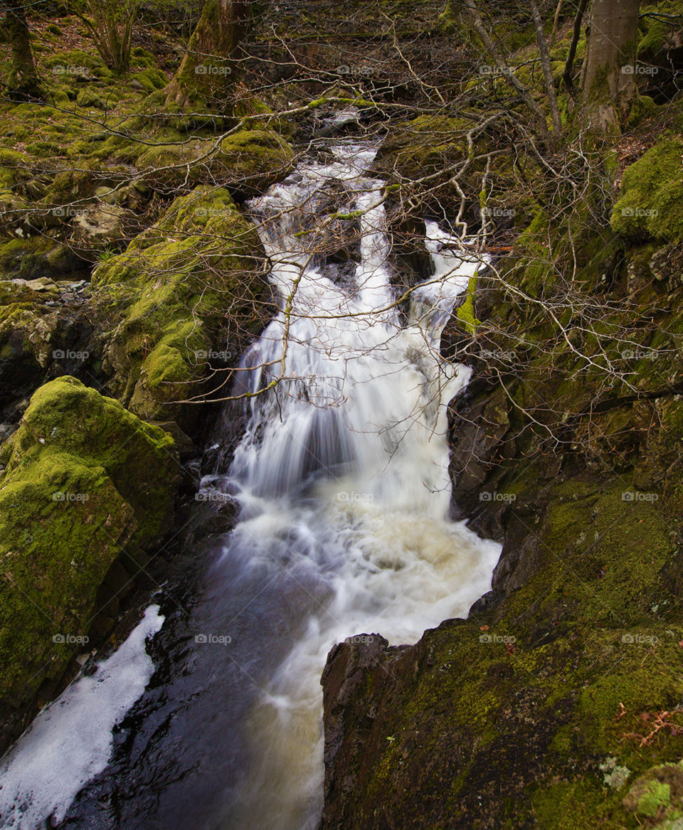 Mountain stream. Stream flowing down to lake Thirlmere 