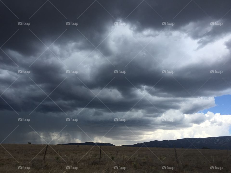 This day only gets better