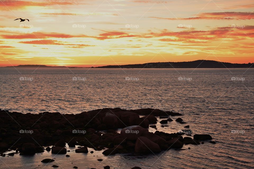 View of beach during sunset