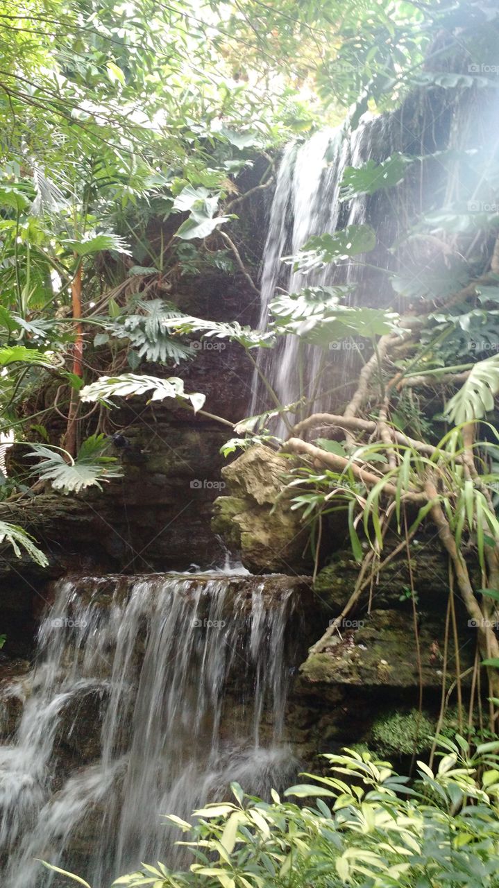 Waterfall in Krohn Conservatory