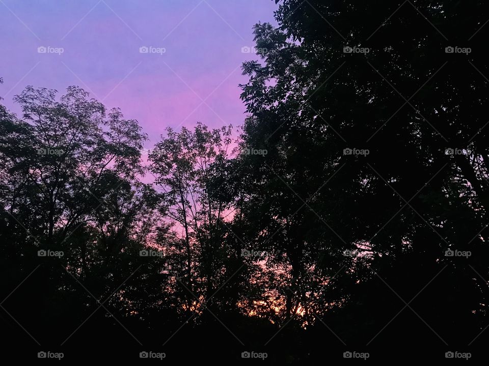 Gorgeous colorful night sky behind silhouettes of trees in forefront make for a beautiful photo! 